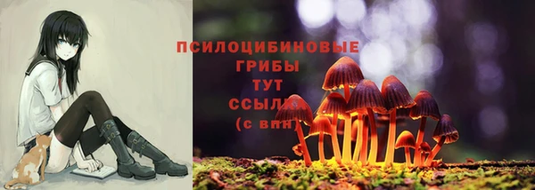 MDMA Premium VHQ Коряжма