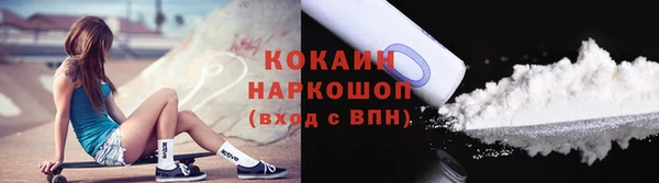 дживик Корсаков