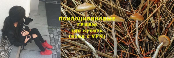 MDMA Premium VHQ Коряжма