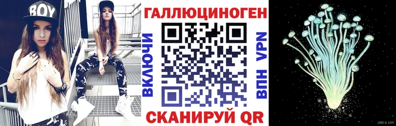 Псилоцибиновые грибы мицелий  Котельнич 